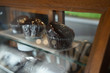 The muffins are placed in wooden and glass display cabinets.