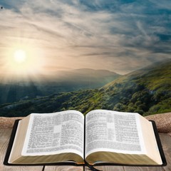 Wall Mural - open vintage christian bible on background