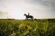 © Westend61 - Woman riding horse on a field in the countryside at sunset