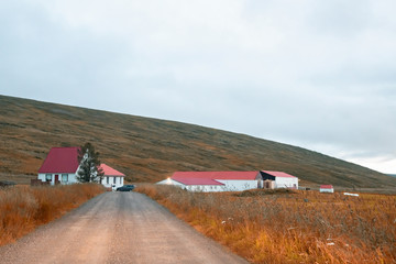 Poster - Road across Iceland countryside at summer sunset