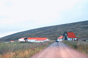 Wall Mural - Road across Iceland countryside at summer sunset