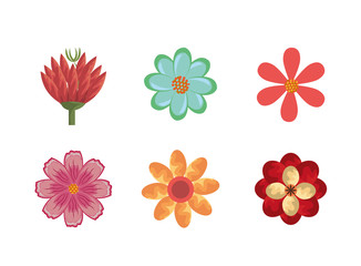 Canvas Print - bundle of flowers naturals icons vector illustration design