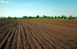 Preparing field for planting. Plowed soil in spring time with two tubes and blue sky.