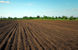 Fototapeta Mapy - Preparing field for planting. Plowed soil in spring time with two tubes and blue sky.