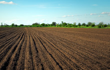 Preparing Field For Planting. Plowed Soil In Spring Time With Two Tubes And Blue Sky.