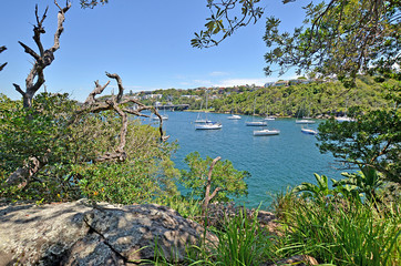 Sticker - One of the most beautiful walks in Sydney Spit bridge to Manly beach coastal walk, Sydney, Australia