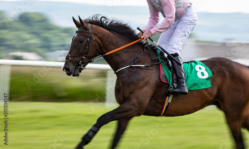 Cuadros en Lienzo close up on motion blur from running race horse