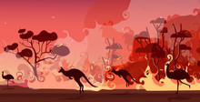 australian animals silhouettes running from forest fires in australia wildfire bushfire burning trees natural disaster concept intense orange flames horizontal vector illustration