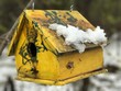 Snowy Yellow Birdhouses
