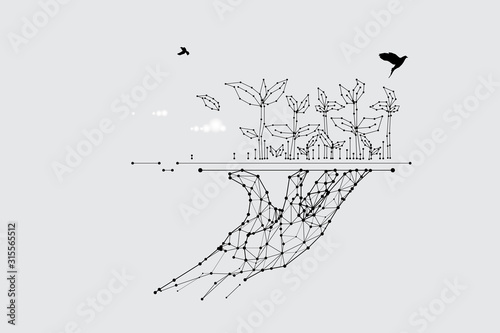 Fotografía The particles, geometric art, line and dot of plant.