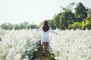 Wall Mural - Portrait image of an asian woman walking into a beautiful Cutter flower field