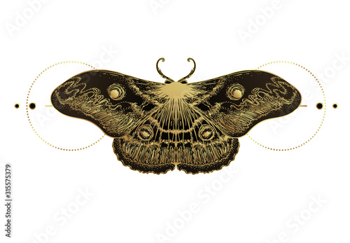 Cuadros en Lienzo Golden moth over sacred geometry sign, isolated vector illustration