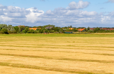 Wall Mural - Spiekeroog in East Frisia