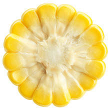 Corn Ear, Isolated On White Background, Clipping Path, Full Depth Of Field