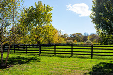 Fence For Horses Pasture On Farm Estate Grounds In Virginia Countryside In Frederick County During Autumn Fall Season With Green Grass Landscape