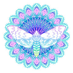 Wall Mural - Moth over mandala. Beautiful vintage round pattern. Vector illustration. Psychedelic neon composition. 