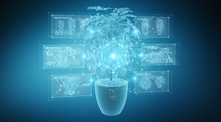 Fototapete - Holographic projection of a plant with digital analysis on blue background 3D rendering