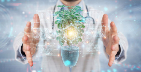 Fototapete - Researcher holding and touching holographic projection of a plant with digital analysis 3D rendering