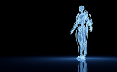 Poster - Digital x-ray human body holographic scan projection 3D rendering