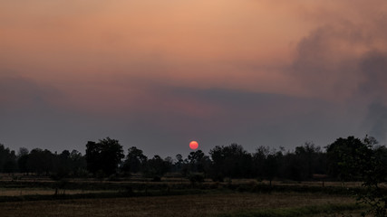 Wall Mural - sunset in park