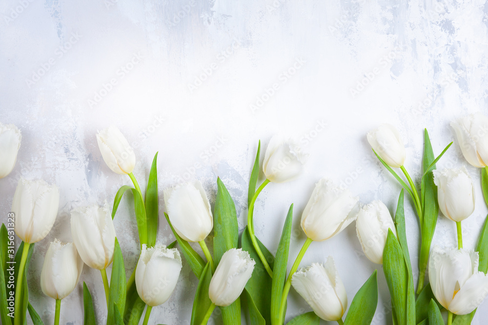 Beautiful white tulips flowers for holiday. - obrazy, fototapety, plakaty 