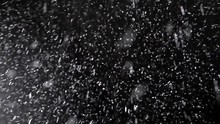 Real Winter Snow Falling Over Isolated Black Background. Small Snow Flakes Over Dark Night. Slow Motion, 4K Shot