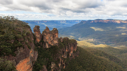 Wall Mural - Eucalyptus forests in the Blue mountains, Katomba, Leura, Sydney 