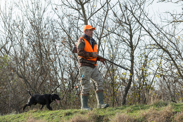 A man with a gun in his hands and an orange vest on a pheasant hunt in a wooded area in cloudy weather. Hunter with dogs in search of game.