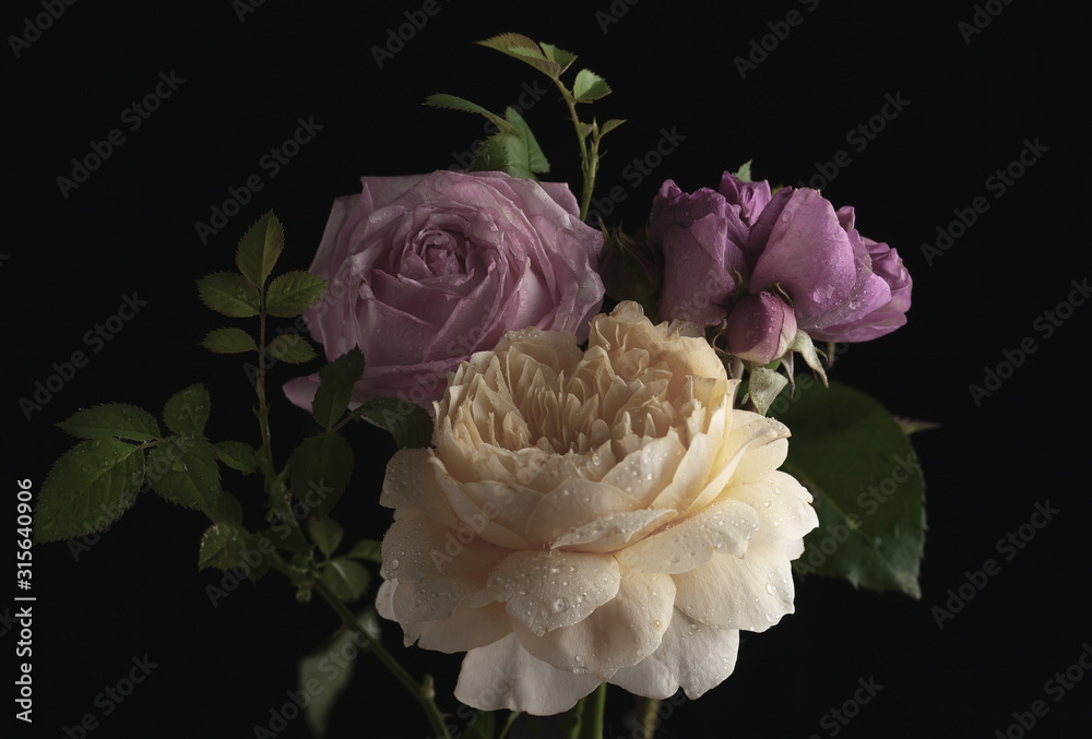 Beautiful bunch of colorful roses flowers - obrazy, fototapety, plakaty 