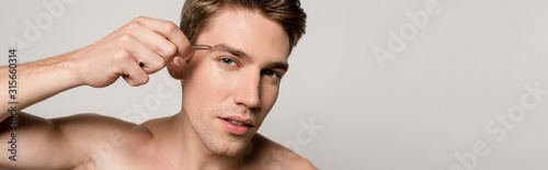 Fotografía sexy man with bare torso pinching brows with tweezers isolated on grey, panorami