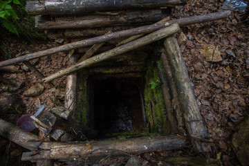 Canvas Print - Old abandoned amethyst mine in forest