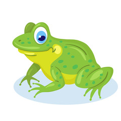 Poster - Little funny frog is sitting. Isolated on white background. Flat style. Vector illustration.