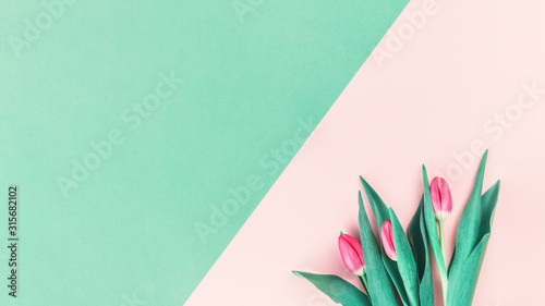 Foto: Bouquet of fresh pink tulips on pink and mint neo green background. Flat lay with copy space, Birthday gift. Valentines 8 March Women's or Mothers Day celebration greeting card or minimal banner Bouquet of fresh pink tulips on pink and mint neo green background. Flat lay with copy space, Birthday gift. Valentines 8 March Women's or Mothers Day celebration greeting card or minimal banner