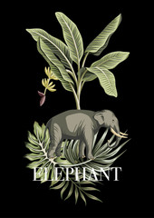 Elephant, banana tree, green palm leaves tropical floral illustration. Summer slogan jungle composition.