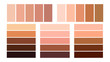 Set color palette for the tone of human skin. Skin tones from light to dark.