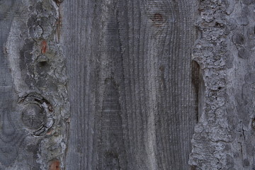  old natural wood texture background pattern gray color. Beautiful structure of weathered wooden vintage boards.