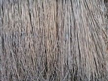 Gray Background And Texture Of Hanging Dry Brooms Of Thin Grass Outdoors