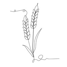 Ears Of Wheat One Line Drawing On White Isolated Background