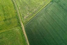 Germany, Bavaria, Aerial View Of Dirt Road Stretching Between Green Countryside Fields