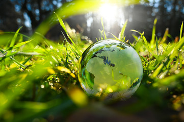 environment new year green glass globe sphere earthball europe and asia world with green leaves and 