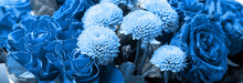 Bouquet Of Roses And Chrysanthemums Close Up. Beautiful Flower Background. Blue Floral Backdrop. Panoramic Banner.