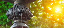 The Iron Head Of A Lion. Three Lion Heads On The Fountain. Water Flows From The Mouth Of A Lion. Summer Greens And Sunshine. The Rays Of The Sun Through The Green Leaves Of Trees. Blurred Background.