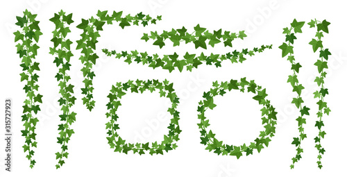 Fotografía Green ivy frames flat vector illustrations set