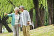 © View Stock - The elderly couple walking in the park