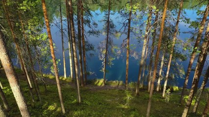 Wall Mural - Aerial View of the Lake and Forest in Finland. Beautiful nature of Finland.