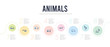 animals concept infographic design template. included elk, flamingo, hamster, otter, panther, polar bear icons