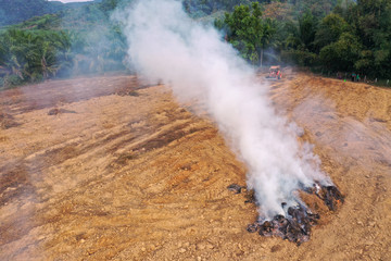 Wall Mural - Rain forest land burned to make way for palm oil plantations. Deforestation environmental problem