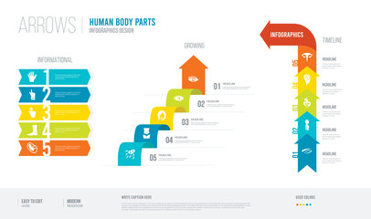  arrows style infogaphics design from human body parts concept. infographic vector illustration