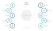 © zaurrahimov - people concept business infographic design with 10 hexagon options. outline icons such as shepherd, kidnapping, psychology, korean, vietnamese, spanish woman