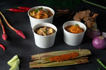 Sticker - various malaysian foods concept photo